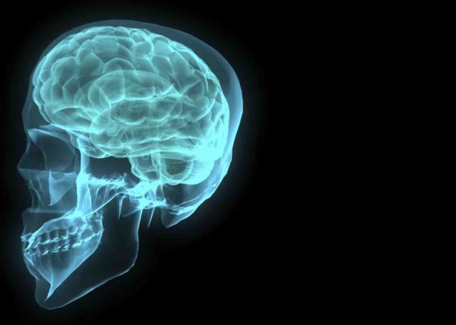 cientistas criam mapa do cerebro em 3d