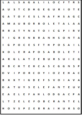 CAÇA- PALAVRAS Word Search