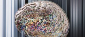 Cientistas dos EUA criam ‘minicérebro’ em laboratório - SUPERA - Ginástica para o Cérebro