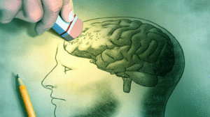 O cérebro também envelhece - SUPERA - Ginástica para o Cérebro