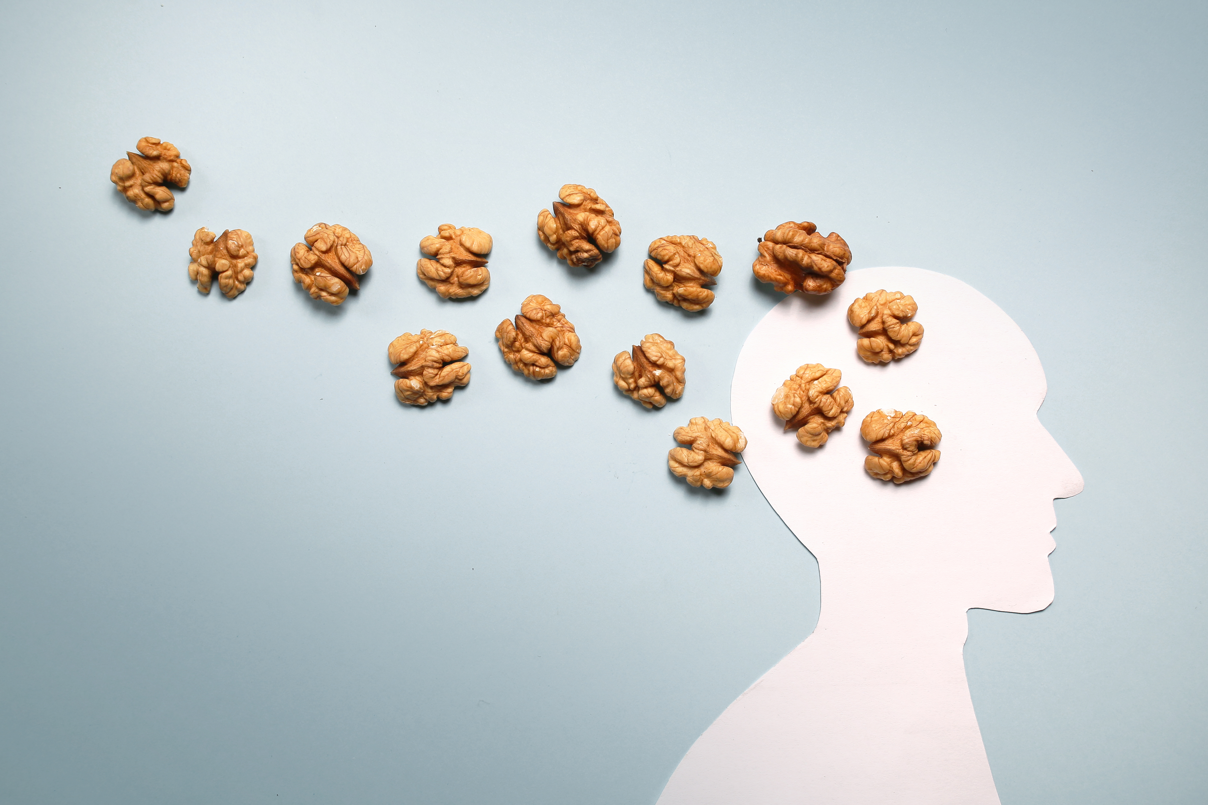 Грецкие орехи похожи на мозги. Грецкий орех и мозг. Орехи для мозга. Мозг с орешек. Грецкий орех и мозги.