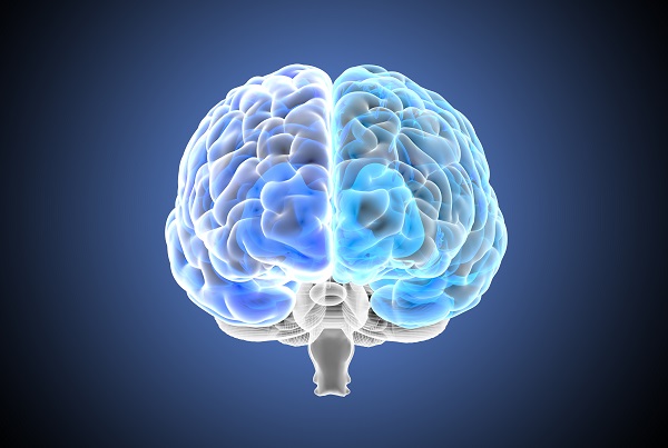 6 dicas importantes para a prevenção de Acidente Vascular Cerebral (AVC) - SUPERA - Ginástica para o Cérebro