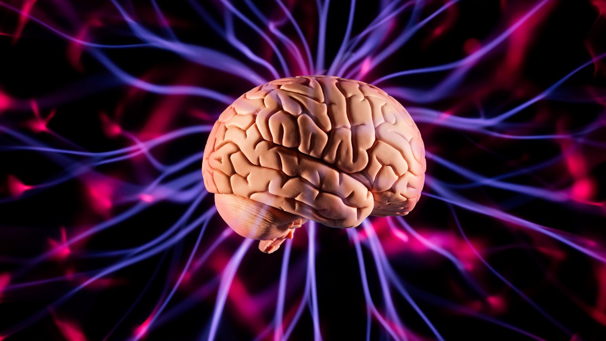 Jogos estimulam o cérebro: veja dicas de neurocientista - Saúde