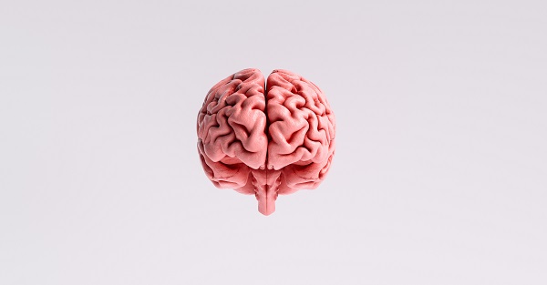 Será que usamos apenas 10% do nosso cérebro? A neurociência responde - SUPERA - Ginástica para o Cérebro