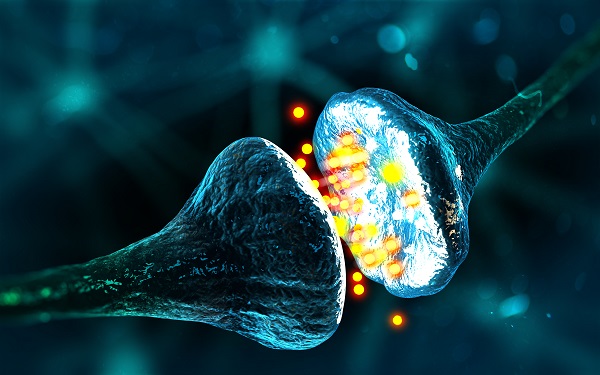 Como ativar neurotransmissores no seu cérebro? - SUPERA - Ginástica para o Cérebro
