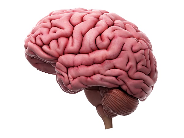 Os 4 "defeitos" do seu cérebro - como melhorar seu desempenho agora! - SUPERA - Ginástica para o Cérebro