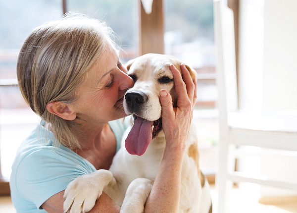 A importância de cachorros e gatos para pessoas idosas - SUPERA - Ginástica para o Cérebro